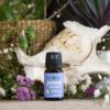 Jasmine Essential Oil - Image 2
